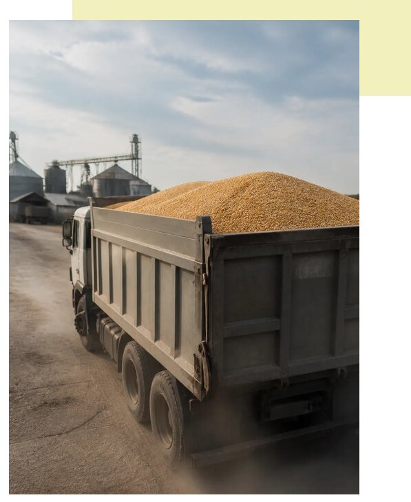 Перевозка сельхозпродукции навалом в Вязники по цене от 3205 р. | Агросервис-Взн